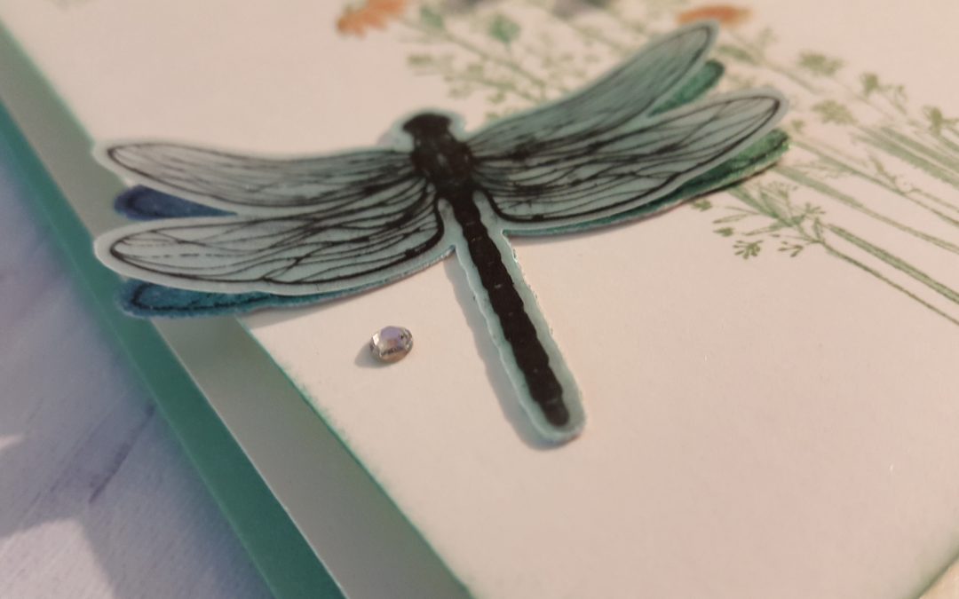 How to create a card with Dragonfly Garden