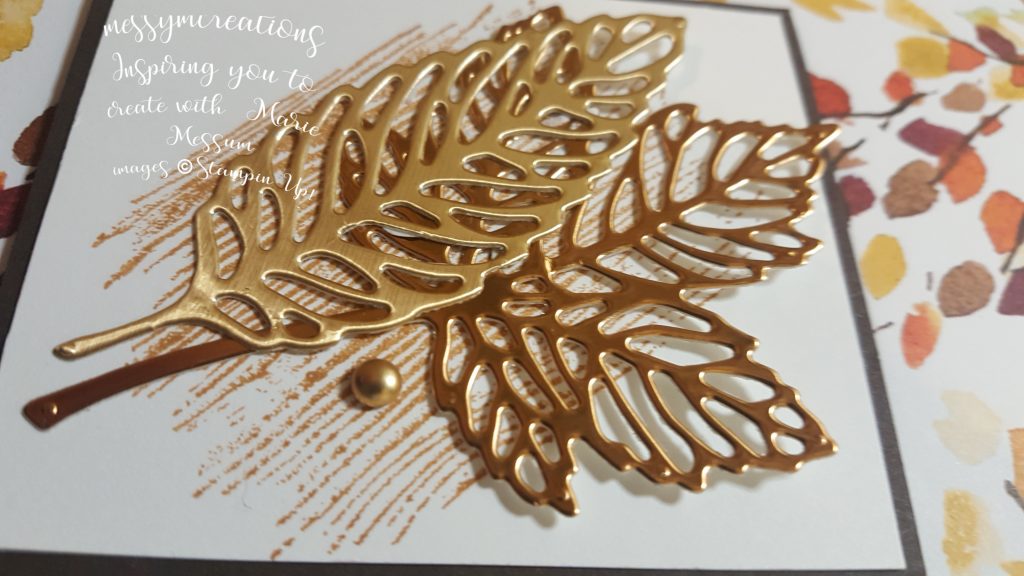 Gorgeous Leaves – cards for any occasion
